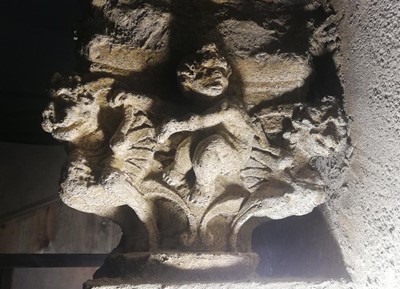 Línea de dangre Híbrida