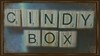 Cindy Escape Box