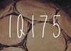 IQ175