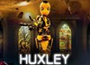 Huxley VR