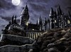 Problemas en Hogwarts