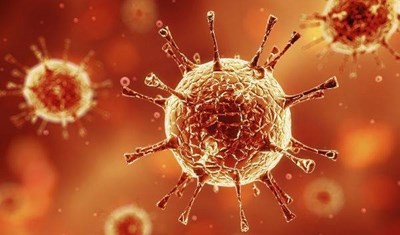 El Virus