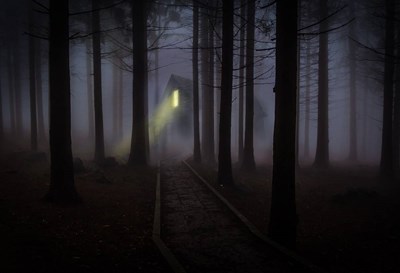 El hallazgo del doctor Hans Schneider